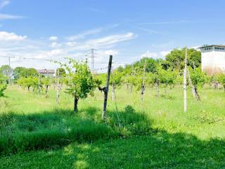 Terreno agricolo in vendita a monastier di treviso via pralongo, 127