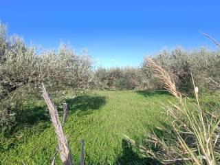 Terreno agricolo in vendita a castroreale contrada porticato