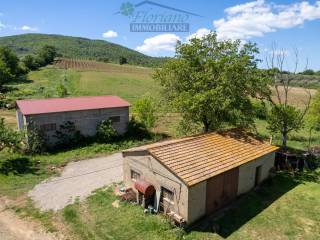 Rustico in vendita a capalbio strada della sgrilla