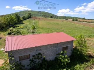 Rustico in vendita a capalbio strada della sgrilla