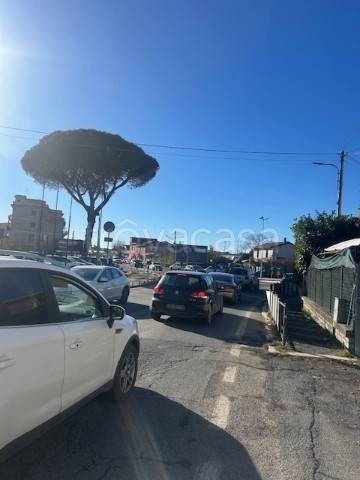 immagine annuncio 5 di 7