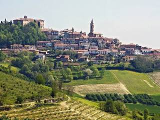 Terreno agricolo in vendita a govone 