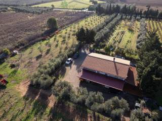 Rustico in vendita a capalbio strada cava del gesso