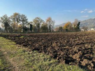 Terreno agricolo all'asta a marostica via ponte cattaneo