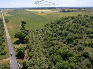 Terreno agricolo in vendita a capalbio strada pedemontana