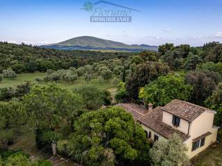 Villa in vendita a capalbio strada marruchetone