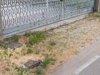 Terreno residenziale in vendita a quistello via roma