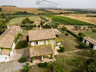 Villa in vendita a capalbio strada della ficona