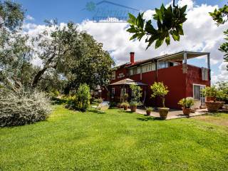 Villa in vendita a montalto di castro strada del tirreno