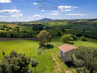 Villa in vendita a capalbio strada della sgrilla