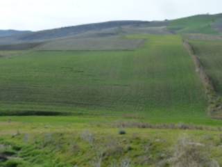 Terreno agricolo all'asta a miglionico via estramurale castello