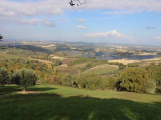 Terreno agricolo in vendita a bellante via sant'angelo