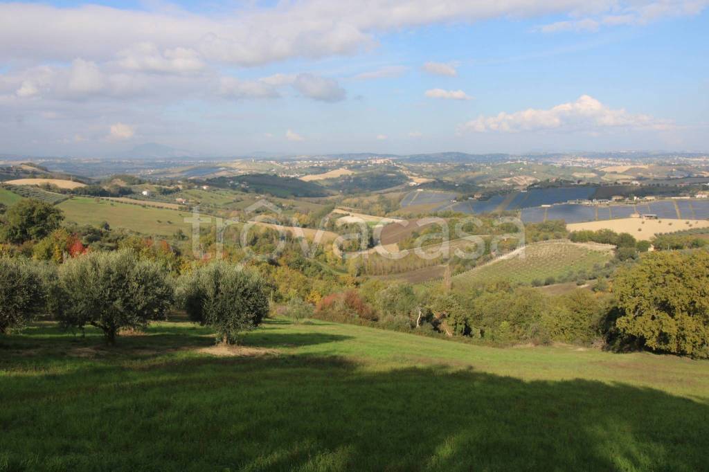 immagine annuncio 3 di 9