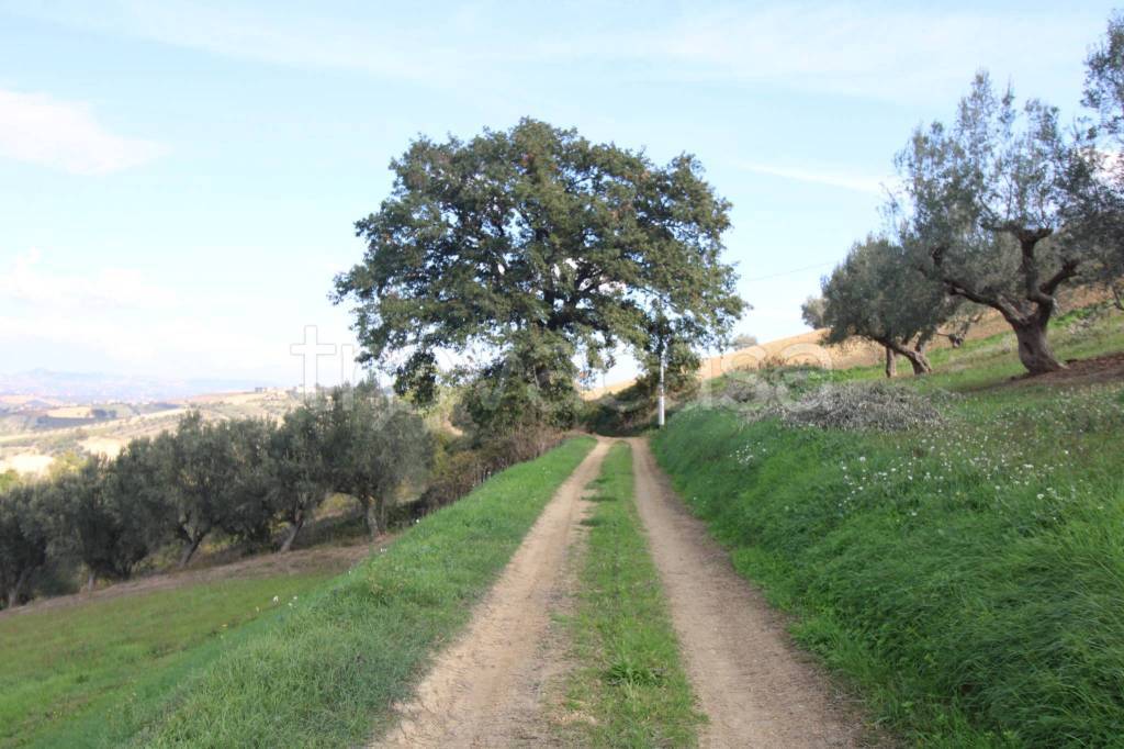 immagine annuncio 6 di 9