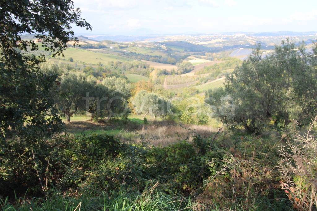 immagine annuncio 8 di 9
