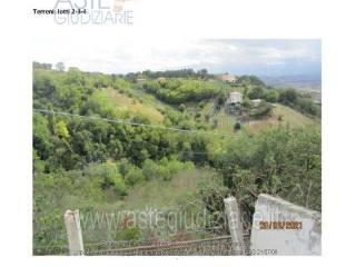 Terreno agricolo all'asta a bellante via borgo martini alfonso s.n.c.