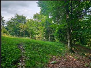 Terreno agricolo all'asta a songavazzo sp57