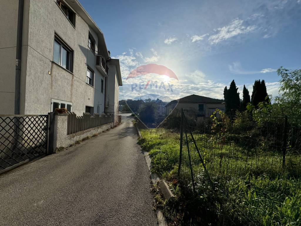immagine annuncio 3 di 12