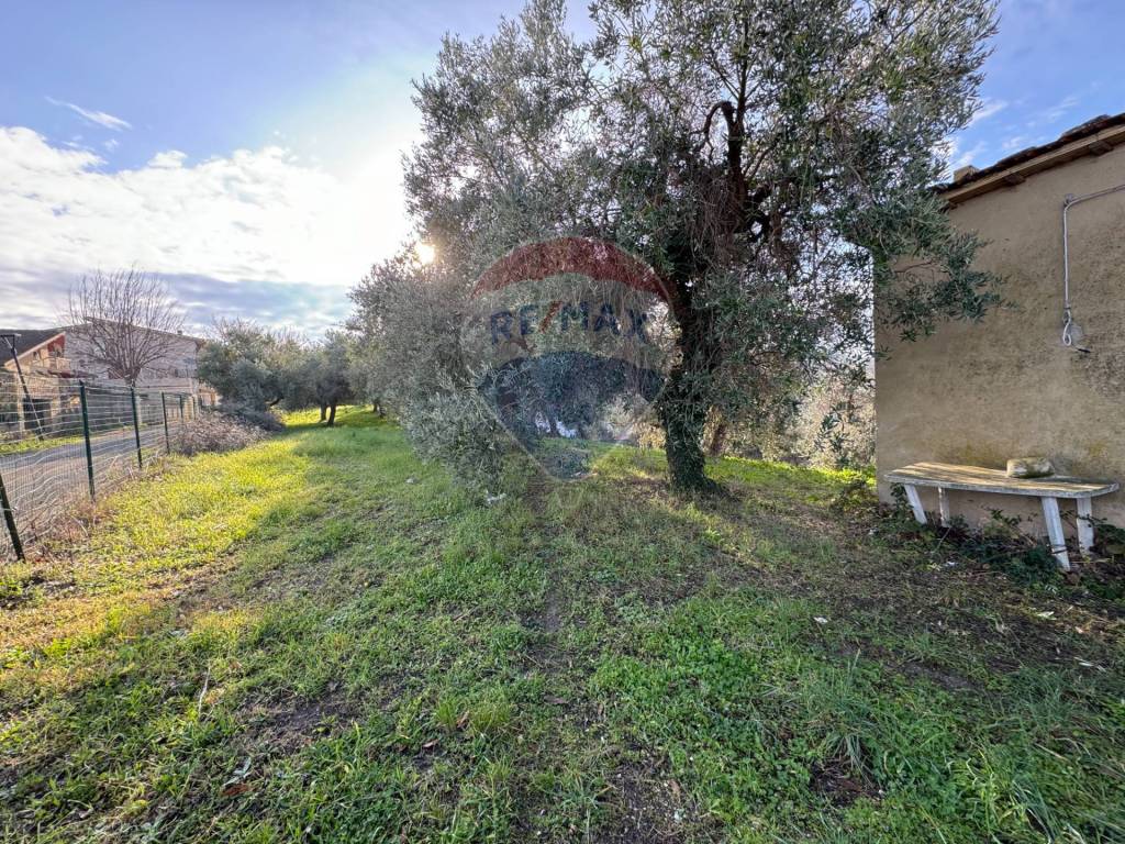 immagine annuncio 7 di 12