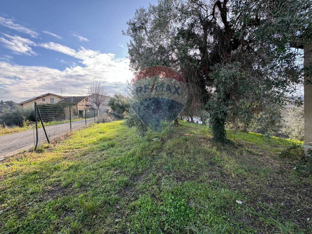 immagine annuncio 9 di 12