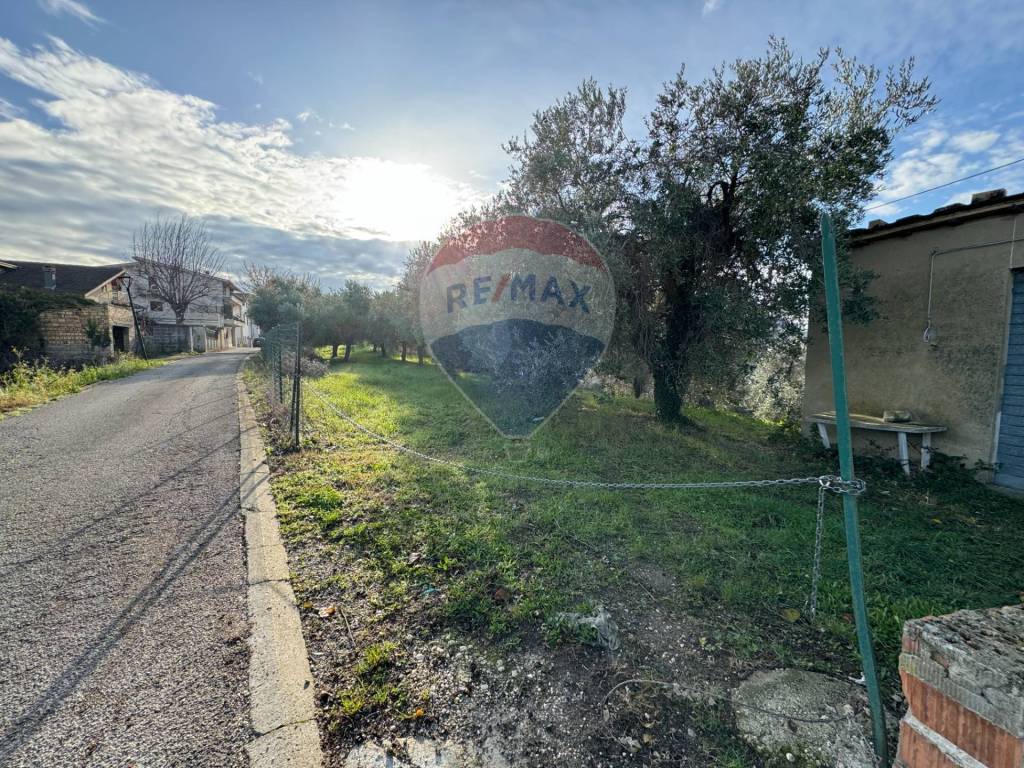 immagine annuncio 11 di 12