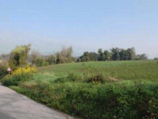 Terreno agricolo all'asta a terre roveresche strada provinciale cavallara