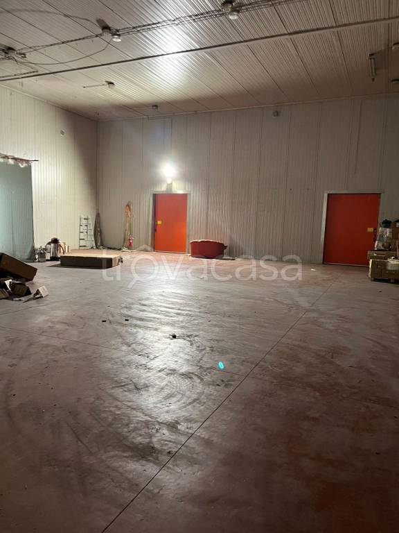 immagine annuncio 3 di 7