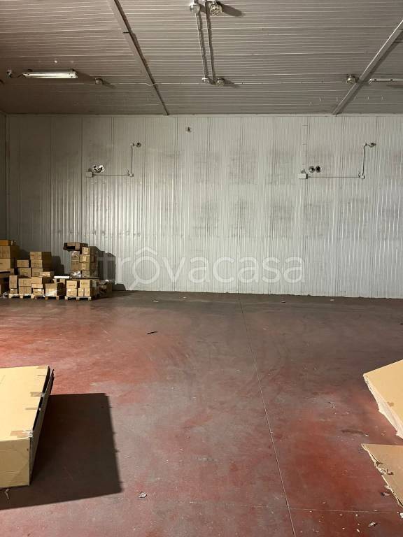 immagine annuncio 4 di 7