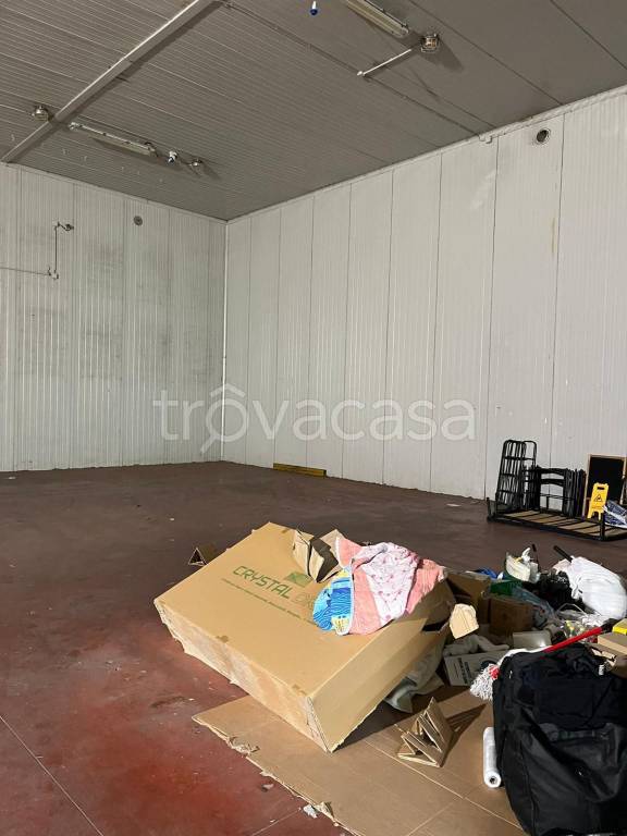 immagine annuncio 5 di 7