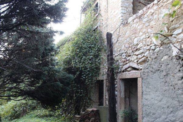 immagine annuncio 2 di 8