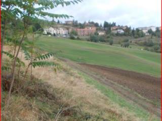 Terreno residenziale all'asta a loiano via santa margherita