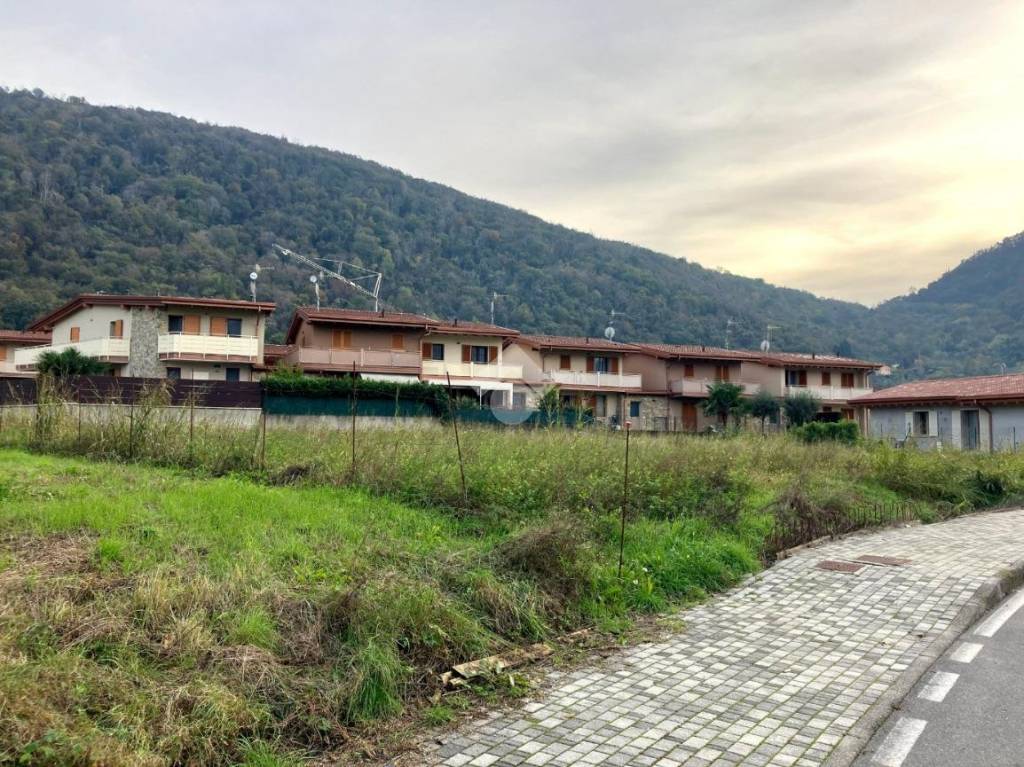 immagine annuncio 6 di 11
