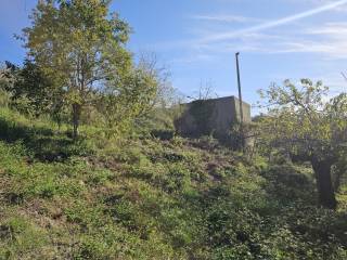 Terreno agricolo in vendita a messina contrada tarantonio