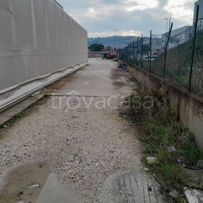 immagine annuncio 6 di 8