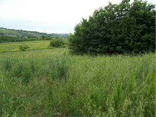 Villa bifamiliare in vendita a pietrelcina pietrelcina