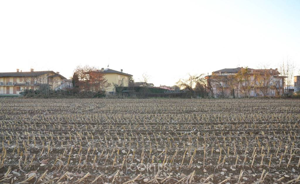 immagine annuncio 4 di 12