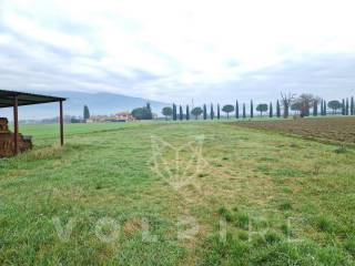 Terreno agricolo in vendita a spello via crocifisso