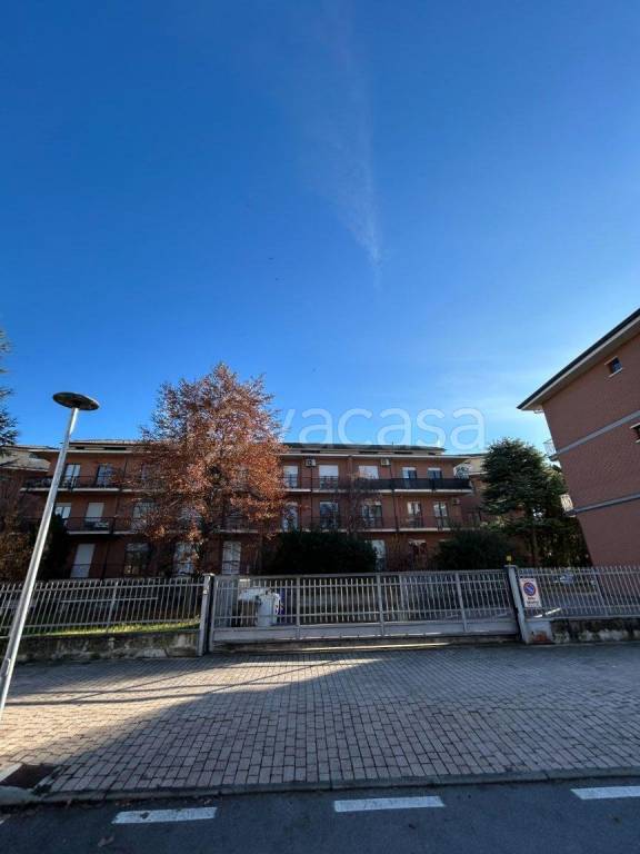 immagine annuncio 1 di 12