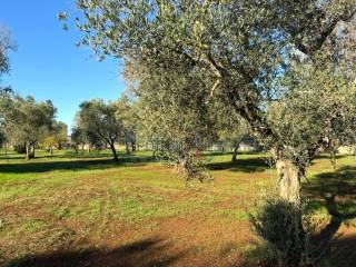 Terreno residenziale in vendita a carovigno 