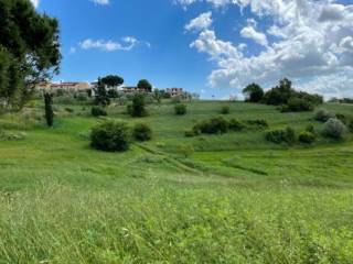 Terreno agricolo all'asta a montopoli in val d'arno via di montopoli