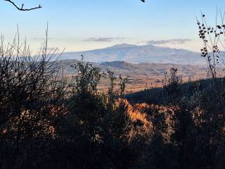 Terreno agricolo in vendita a roccastrada località carpineta