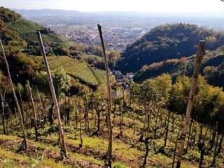 Terreno agricolo all'asta a farra di soligo via borgata grotta