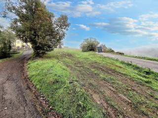 Terreno agricolo all'asta a coli via mazzucchi, n. snc