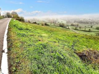 Terreno agricolo all'asta a coli via mazzucchi, n. snc