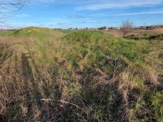 Terreno residenziale all'asta a forlì via erbosa, n. snc