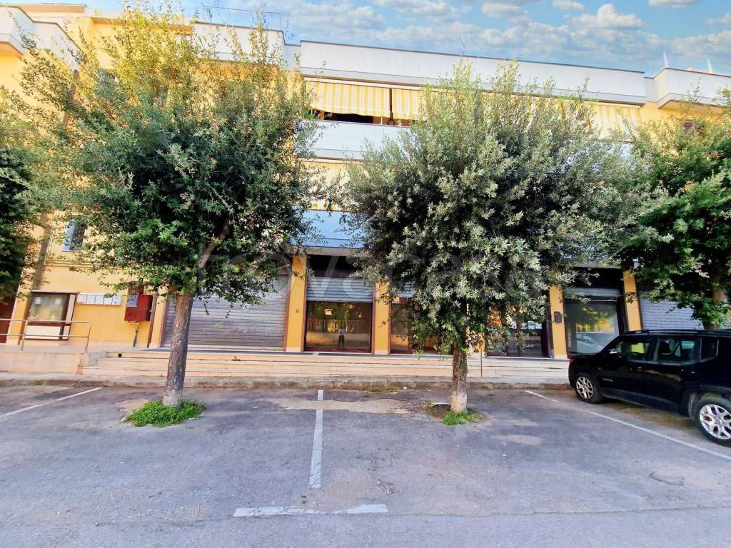immagine annuncio 5 di 13