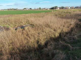 Terreno residenziale all'asta a forlì via erbosa, n. snc