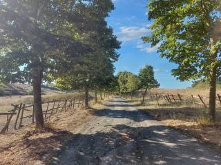 Azienda agricola all'asta ad anguillara sabazia via della marmotta, n. snc