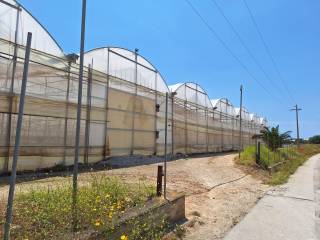 Terreno agricolo all'asta a vittoria contrada anguilla, n. snc