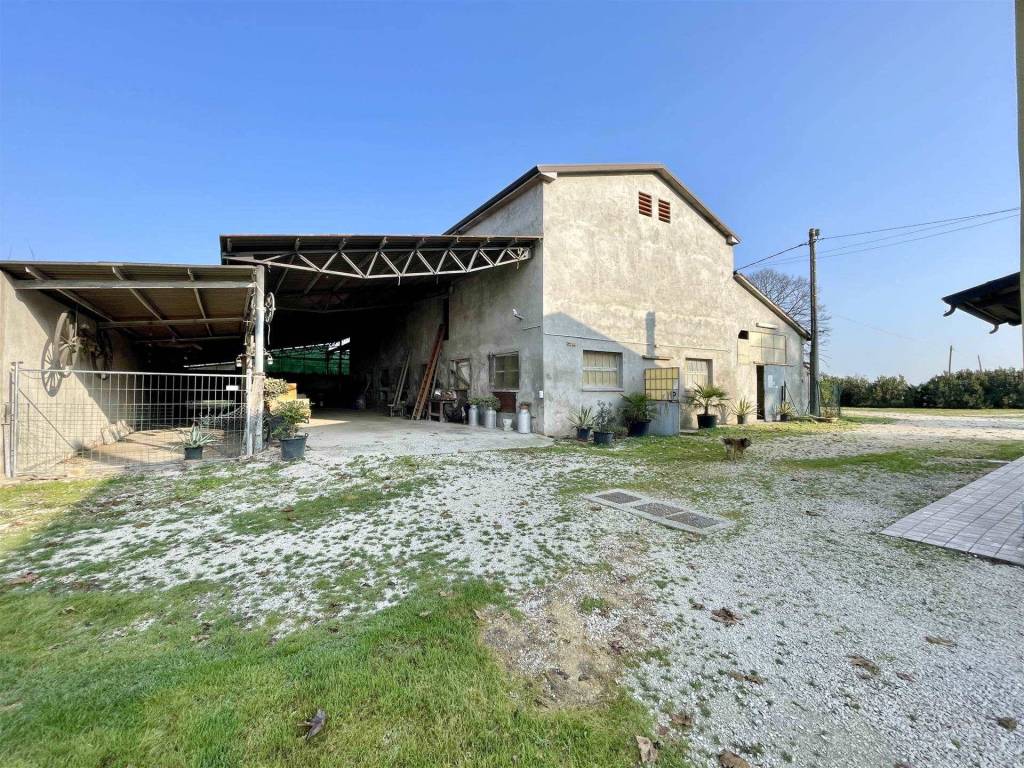 immagine annuncio 11 di 15